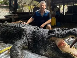 Terkuak! Ini Penyebab Kematian Buaya Raksasa Cassius