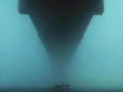 Bukti Benda Raksasa Bisa Terlihat Sangat Mengerikan, Bikin Megalophobia!