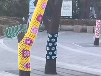 Video Cara Korea Selatan Rawat Pohon Bikin Netizen +62 Auto Banding-bandingin