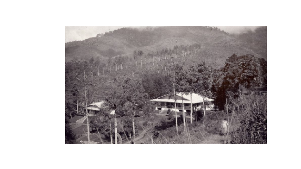 Dago tempo dulu Dago tempo dulu