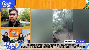 Video: Flores Timur Tetapkan Tanggap Darurat Banjir Lahar Dingin hingga 30 Desember