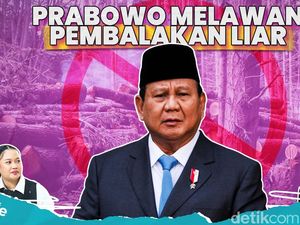 Niat Prabowo Perangi Pembalakan Liar di Sumatera
