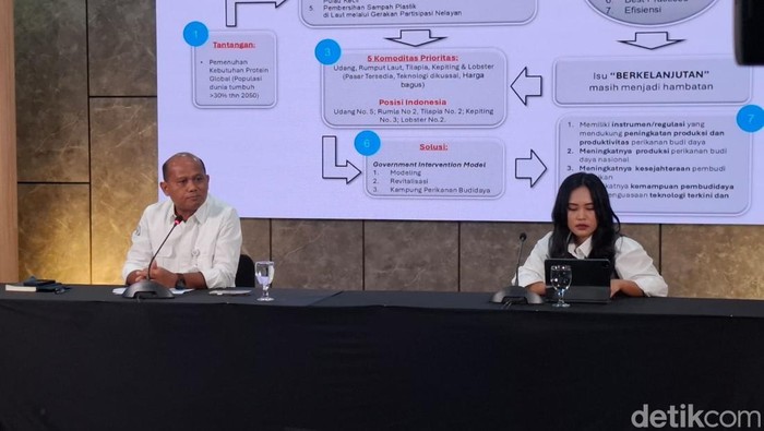 KKP Perbaiki Tambak Udang-Nila Terdampak Bencana Sumatera Tahun Depan