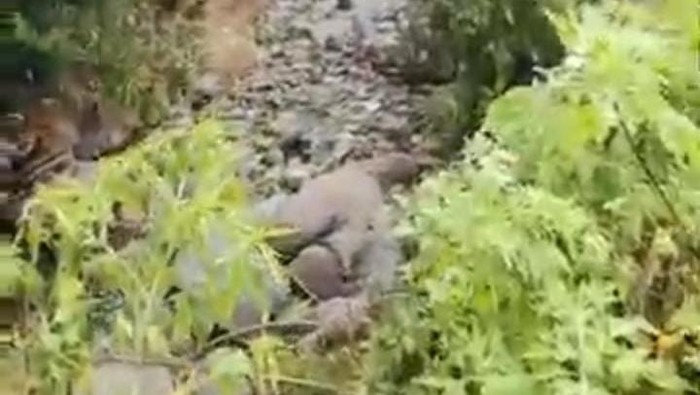 Heboh Air Sungai di Sumbar Menghilang, Badan Geologi Beri Penjelasan