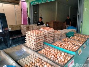 Harga Telur Ayam di Sumut Naik, Asahan Tertinggi Rp 35 Ribu per Kg