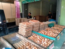 Kebutuhan Telur Ayam di DKI Diprediksi Melonjak Jelang Idul Fitri