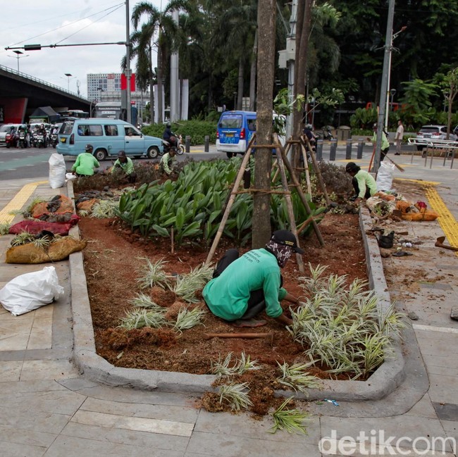 Jalur Hijau di Pedestrian Slipi Petamburan Dipercantik