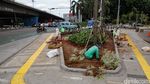 Jalur Hijau di Pedestrian Slipi Petamburan Dipercantik