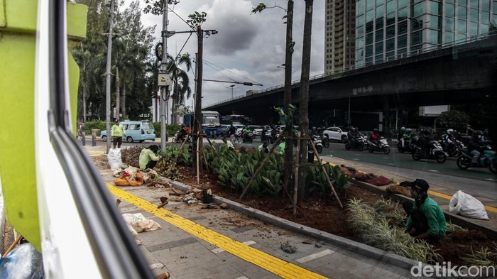 Petugas Dinas Pertamanan dan Hutan Kota Jakarta menata tanaman di pedestrian Slipi Petamburan, Jakarta, Senin (15/12/2025). Penataan tanaman pedestrian adalah penempatan vegetasi di trotoar untuk fungsi estetika, peneduh, penyerapan polusi, dan pembatas pandang.