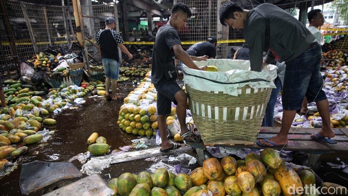 Los Pepaya Kramat Jati Terbakar, Pedagang Pilah Buah Tersisa Para pedagang menyortir pepaya yang masih bisa diselamatkan usai kebakaran melanda los buah di Pasar Induk Kramat Jati, Jakarta Timur, Senin (15/12/2025).