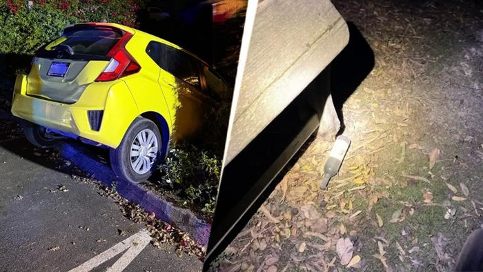 Mobil yang ditabrak Tesla