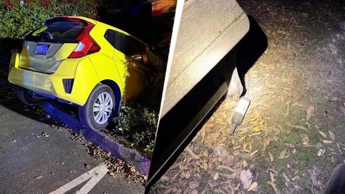 Bos Startup Kesehatan Mental Diduga Stress, Ngamuk-Tabrakkan Tesla