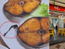 Duh! Pelanggan Komplain Ada Kail Pancing Nyangkut dalam Ikan Goreng