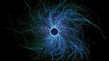 Karya Stella Whittaker abadikan neuron sensorik turunan iPSC diberi label untuk menunjukkan tubulin dan aktinFoto: Nikon Small World