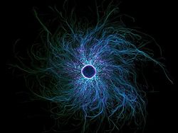 Foto Dunia Mikro Ini Nyata, Bukan Editan Photoshop!