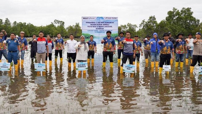 Pertamina Patra Niaga Hijaukan Pesisir Bengkulu Lewat Tanam Mangrove