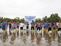 Pertamina Patra Niaga Hijaukan Pesisir Bengkulu Lewat Tanam Mangrove