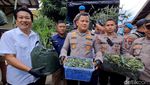 Polisi Gerebek Pertanian Ganja di Jombang