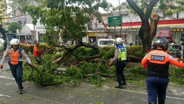 Diterpa Angin Kencang, Pohon Tumbang Timpa Mobil di Margonda Depok