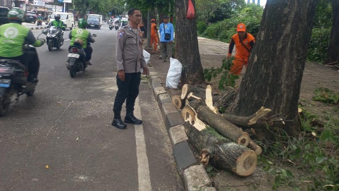 Terjadi Lagi Pohon Tumbang di Jakarta Timpa Warga