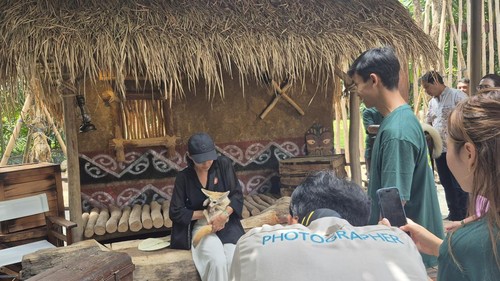 Salah satu pengunjung berinteraksi dengan satwa rubah fennec di wahana ‘Jungle Encounter’ Bali Zoo, Senin (15/12/2025). (Ni Komang Ayu Leona Wirawan/detikBali)