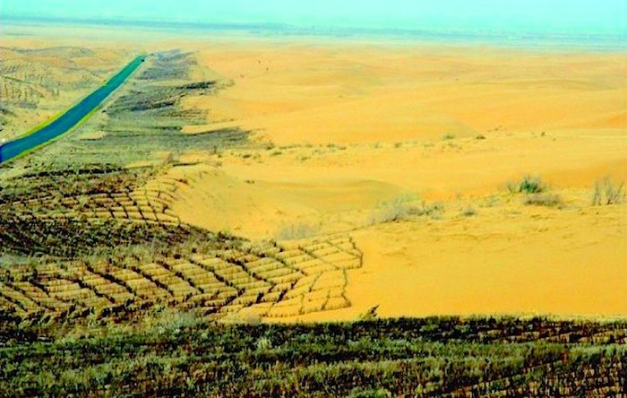 Tembok raksasa hijau China