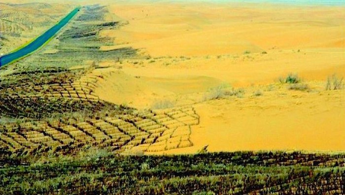 Tembok raksasa hijau China