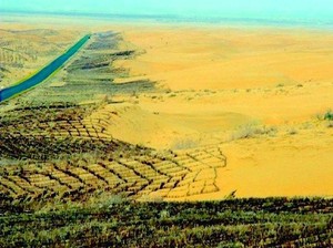 Ambisi Gila China Bangun Tembok Raksasa dari 66 Miliar Pohon