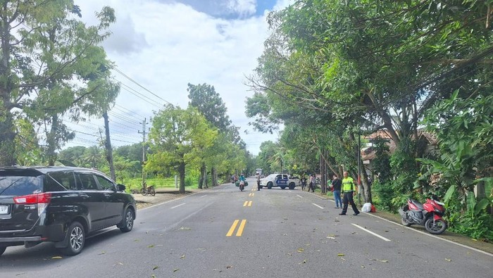 Truk ODOL Nyenggol Pohon, Pemotor di Wates Tewas Tertimpa Dahan