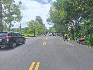Truk ODOL Nyenggol Pohon, Pemotor di Wates Tewas Tertimpa Dahan
