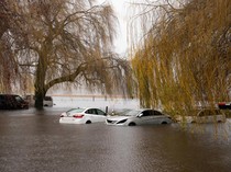 Video: Banjir Terjang Washington AS, Tanggul Jebol-Ribuan Warga Terdampak