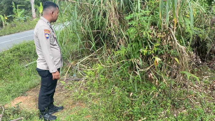 Bayi Laki-laki Terbungkus Kain Ditemukan di Pinggir Jalan Kerinci