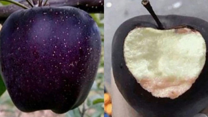 Black diamond apple