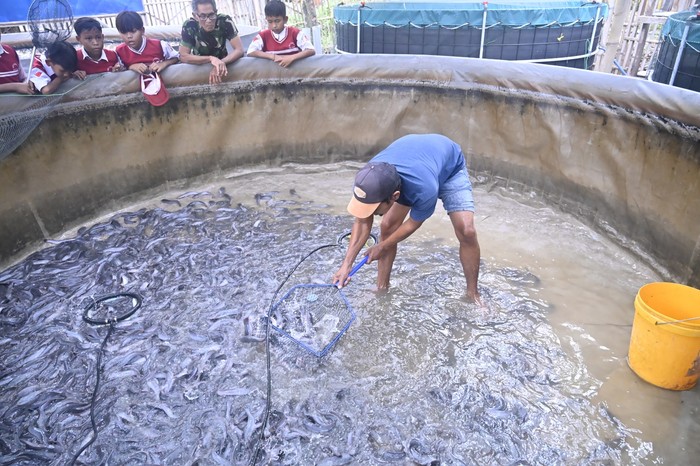 BNPT Dorong Budidaya Lele Bioflok di Desa Siapsiaga Jamblang Cirebon