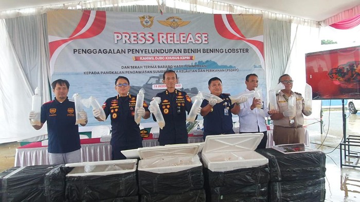 Penyelundupan 129 Ribu Benih Lobster di Perairan Lingga Digagalkan