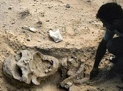 Banyak yang Tertipu! Foto Viral Ini Aslinya Palsu, Hasil Editan