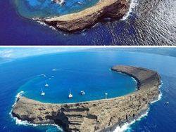 Banyak yang Tertipu! Foto Viral Ini Aslinya Palsu, Hasil Editan