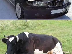 Banyak yang Tertipu! Foto Viral Ini Aslinya Palsu, Hasil Editan