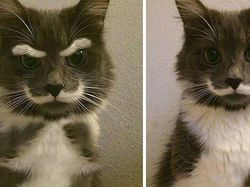 Banyak yang Tertipu! Foto Viral Ini Aslinya Palsu, Hasil Editan