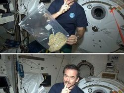 Banyak yang Tertipu! Foto Viral Ini Aslinya Palsu, Hasil Editan