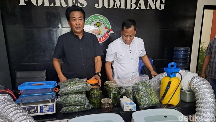 Biji Ganja yang Ditanam di Rumah Pertanian Jombang Impor dari London