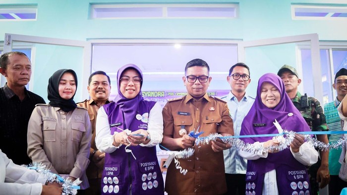 Andra Soni Resmikan Posyandra di Serang, Harap Bisa Meluas ke Seluruh Banten