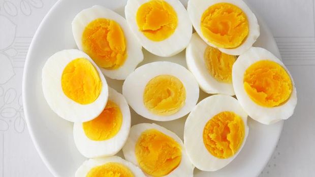 guru dan telur guru dan telur