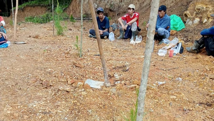 Kemenhut Kerahkan Tim Tinjau Penggundulan Hutan Lindung di Tombolo Pao Gowa