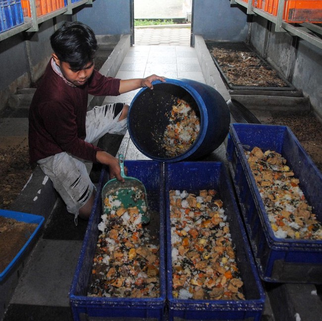 Inovasi Zero Waste di Bogor, Limbah MBG Diolah Bernilai Guna