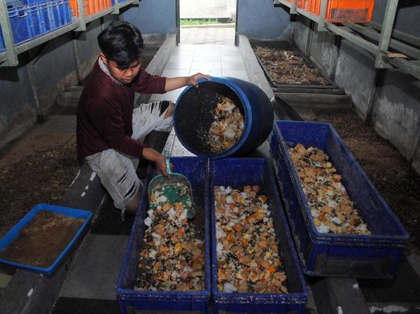 Inovasi Zero Waste di Bogor, Limbah MBG Diolah Bernilai Guna