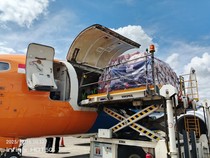 Serba-serbi Bantuan Bencana Diaspora Aceh Tertahan Bea Cukai