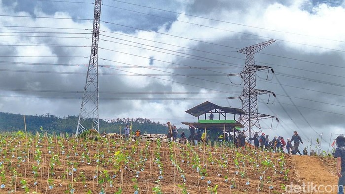 TNI Bangun Pos Pantau Antisipasi Perusakan Kebun Teh Pangalengan