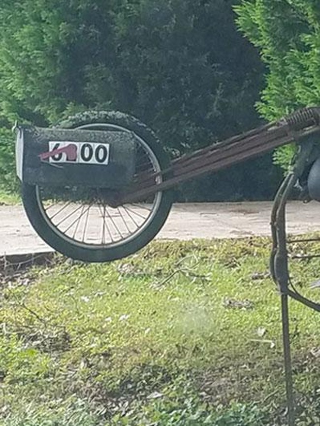 Deretan Kotak Surat Unik dan Kreatif, Melihatnya Dijamin Melotot