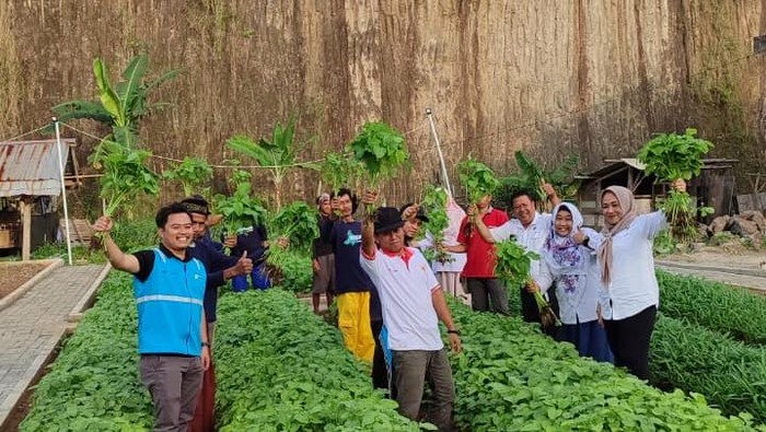 Lahan Bekas Tambang di Cilegon Disulap Jadi Area Pertanian-Hutan Tanaman Energi